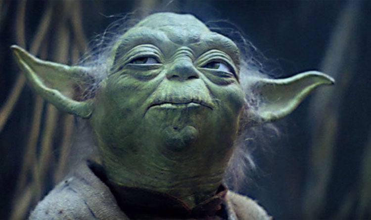 yoda